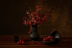 Naturaleza muerta de otoño oscuro de Dennis Zhang