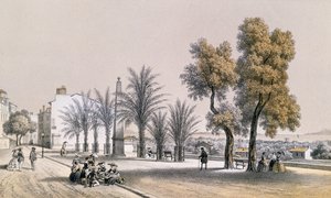 Vista del Paseo de las Palmeras en Hyeres en la Costa Azul de Deroy