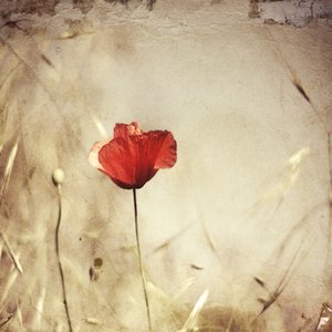  de Desislava Ignatova
