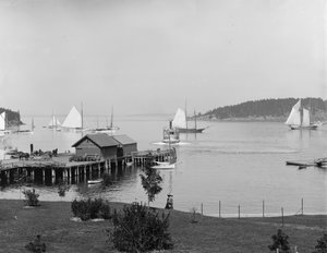 Bar Harbor, Isla Mt. Desert, Maine, el puerto desde Newport House, c.1901 de Detroit Publishing Co.