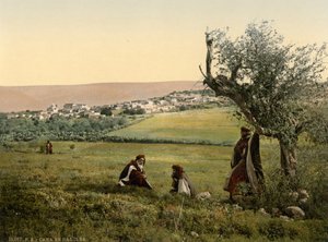 Vista general, Caná de Galilea, Tierra Santa, c.1890-1900 (impresión fotocroma)