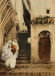 Calle de los camellos, Argel, c.1899 de Detroit Publishing Co.