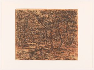 Paisaje forestal
