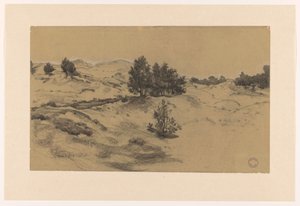 Paisaje de dunas