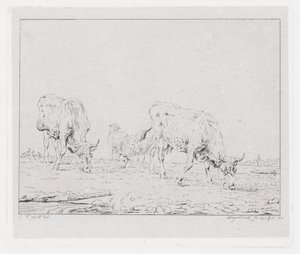 vacas pastando de Diederik Jan Singendonck