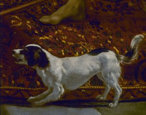 La túnica de José – Detalle del perro – Siglo XVII – Barroco español – Restaurado en 1989 – Conjunto 7331 de Diego Velázquez