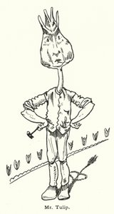 Señor Tulipán de Dion Clayton Calthrop