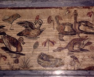 Mosaico romano de Pompeya de patos y ranas en un jardín acuático, siglo I de Dioscurides of Samos