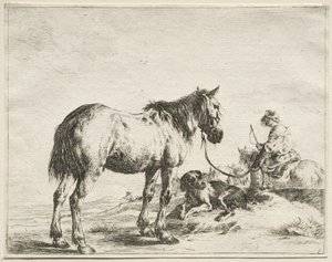 Un caballo atado a una estaca