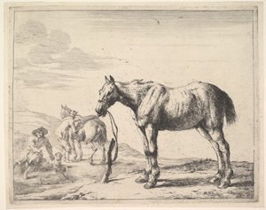 Caballo atado a un poste, girado a la izquierda de Dirck Stoop