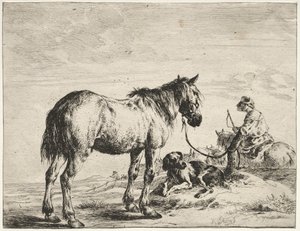 Caballo atado a un poste de Dirck Stoop