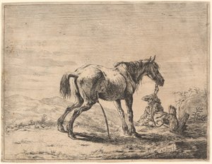 Caballo encabritado cerca de un establo de Dirck Stoop