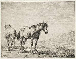 Dos Caballos de Arado de Dirck Stoop