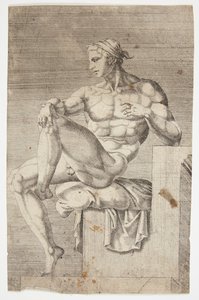 Desnudo de la Capilla Sixtina de Dirck Volckertsz. Coornhert