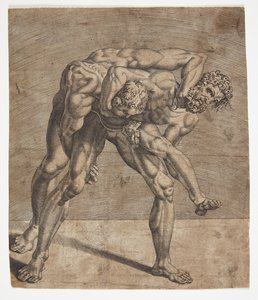 Dos luchadores