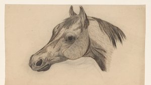 Cabeza de caballo, a la izquierda de Dirk Arnoldus Tavenraat