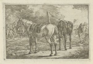 Dos caballos ensillados en un campamento militar
