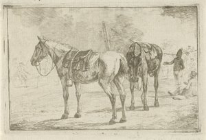 Dos caballos ensillados en un campamento militar