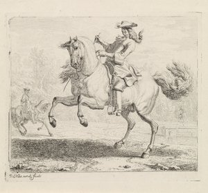 Caballo de cría con jinete Escuela de equitación (título de la serie) de Dirk Maas