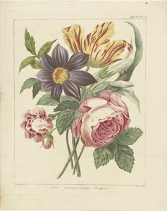 Ramo de flores con peonía y tulipán
Un ramo misterioso (título en el objeto) de Dirk Sluyter