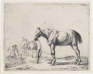 Caballo atado a un poste a la izquierda Caballos (título de la serie) de Dirk Stoop
