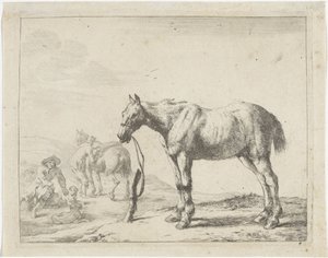 Caballo atado a un poste a la izquierda Caballos (título de la serie) de Dirk Stoop