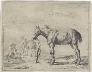 Caballo atado a un poste a la izquierda Caballos (título de la serie) de Dirk Stoop