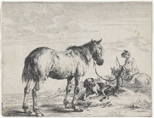 Caballo atado a un poste Caballos (título de la serie) de Dirk Stoop