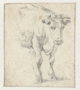Estudio de una vaca de Dirk Stoop