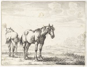 Dos caballos en un paisaje Caballos (título de la serie)