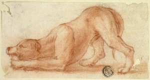 Perro peludo saltarín de Dirk Valkenburg