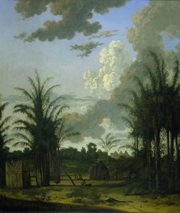 Plantación en Surinam