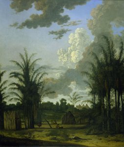 Plantación en Surinam