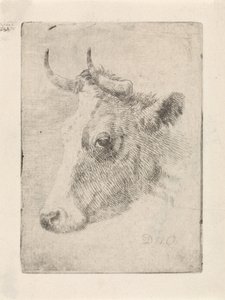 cabeza de toro