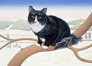 Ramas desnudas, No.2, 1994