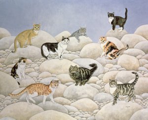 Gatos del Valle de Lynn de Ditz