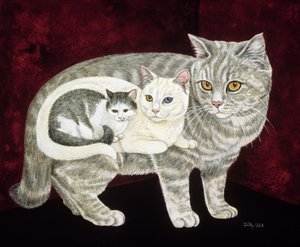 Gato ruso