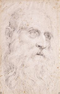 La cabeza de San Jerónimo de Domenichino
