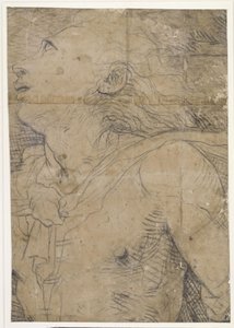 Joven mirando hacia arriba (medio cuerpo), ¿fragmento de un boceto en cartón de Domenico Beccafumi