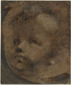 Cabeza de un putto de Domenico Beccafumi
