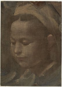 Cabeza de una joven de Domenico Beccafumi
