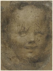 Cabeza de niño de Domenico Beccafumi