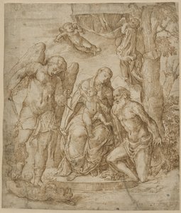 La Virgen y el Niño con los santos Miguel y Jerónimo, c.1520-25 de Domenico Campagnola