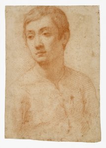 Cabeza de un joven, c.1600-25