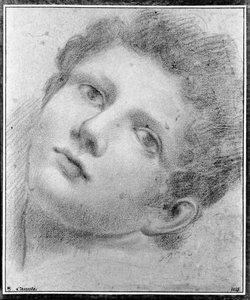 Cabeza de un joven, inclinada hacia atrás de Domenico Maria Canuti