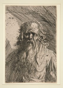 Viejo con barba de Domenico Piola