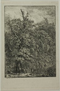 Gran árbol de Domenico Quaglio