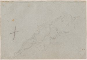 Desnudo femenino [verso]