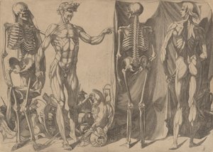Dos hombres desollados y sus esqueletos, ca. 1540-45 de Domenico del Barbiere