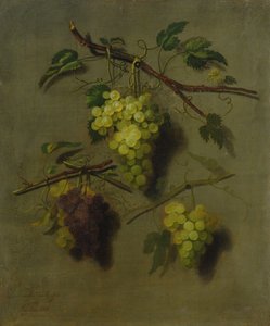 Naturaleza muerta